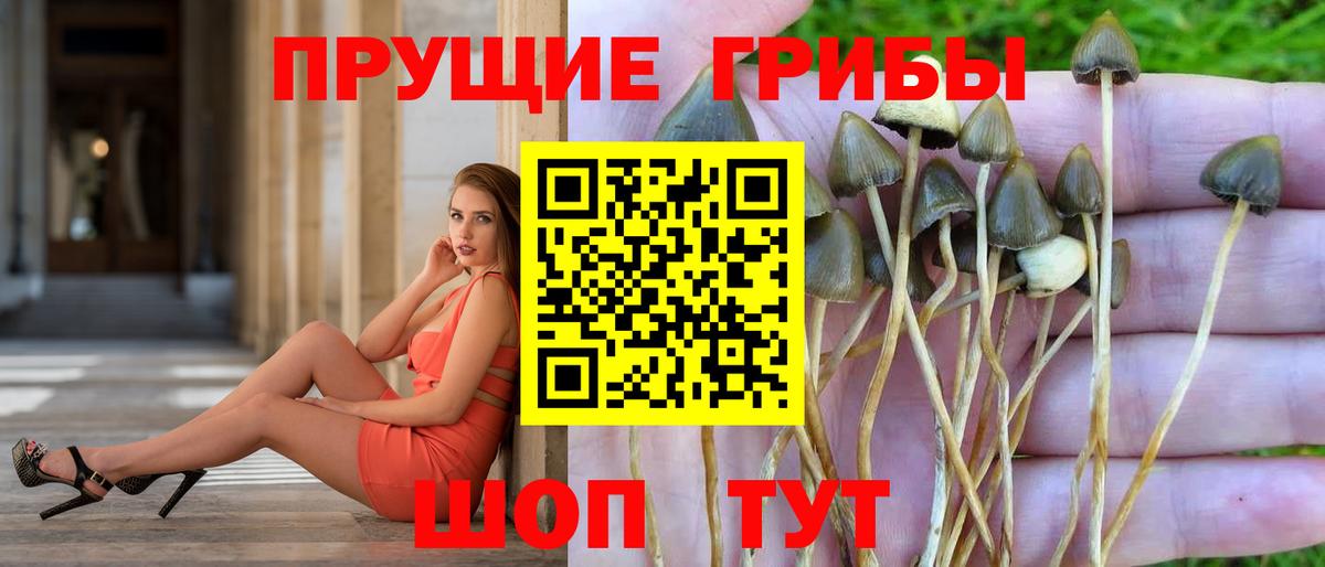 Галлюциногенные грибы Psilocybine cubensis  Вход с VPN  Псилоцибиновые грибы Magic Shrooms  Кимовск 
